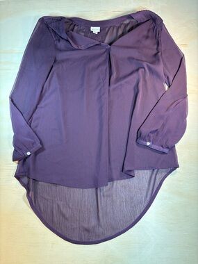 Merona Sheet Long Sleeve Blouse